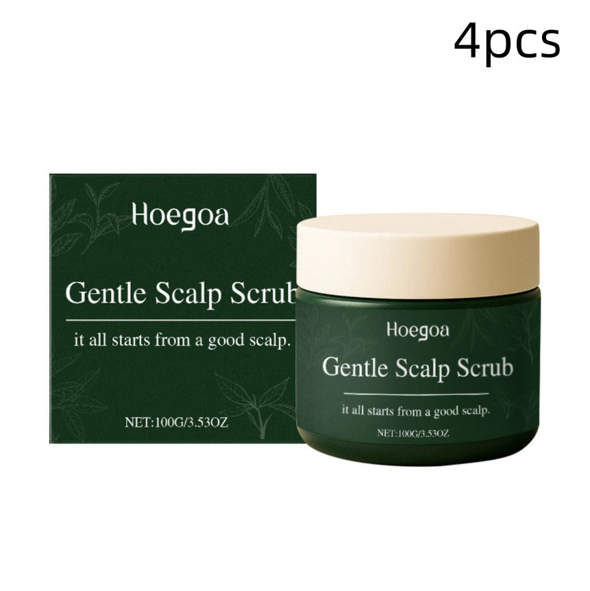 Gentle Scalp Scrub Axl 4PCS 100g