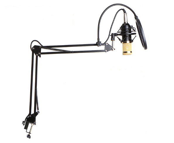 Karaoke Condenser Mic Kit – Cardioid, Stand & Shock Mount Condenser Microphone Kit Axl