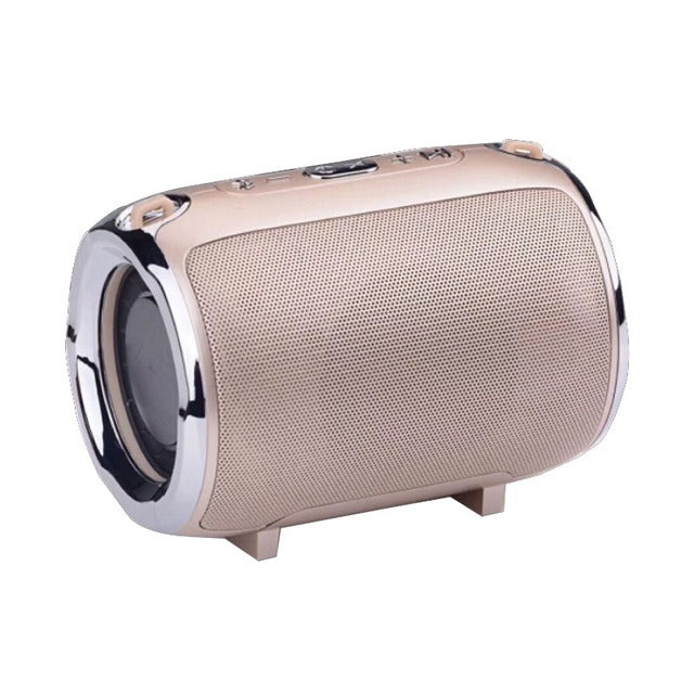 Portable Anti-Fall Bluetooth Speaker with Subwoofer Axl Gold / Charging Version