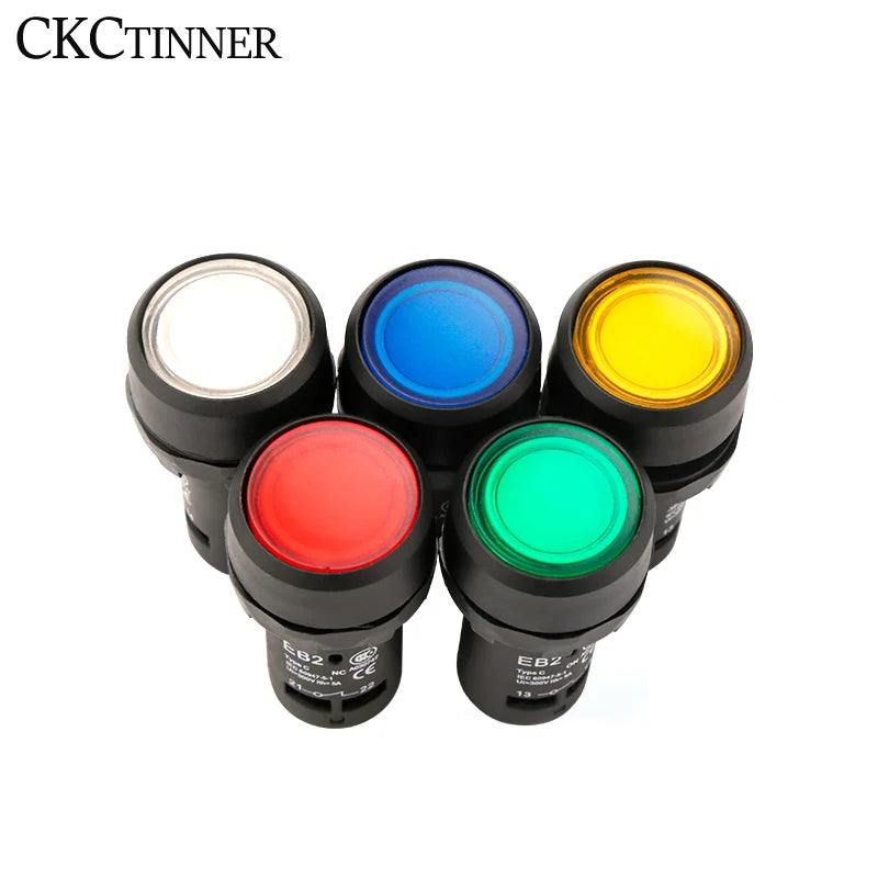 22mm Momentary Push Button Switch with Pilot Light | EB2-10DN Push Button Switch Axl