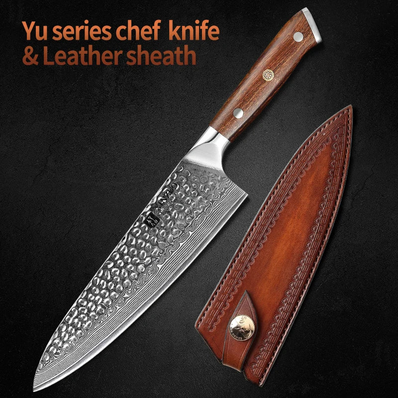 XINZUO 8.2" VG10 Damascus Steel Chef Knife – Gyuto, 67 Layers Damascus Chef Knife Axl with Leather sheath China Mainland