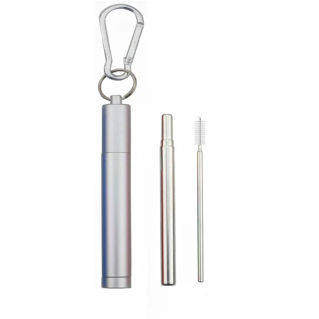 Collapsible Stainless Steel Travel Straw Set – Case & Brush Reusable Drinking Straw Axl Silver Set