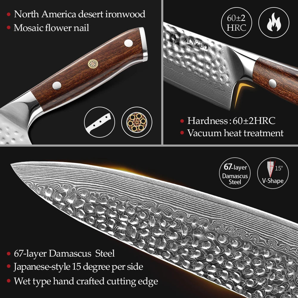 XINZUO 8.2" VG10 Damascus Steel Chef Knife – Gyuto, 67 Layers Damascus Chef Knife Axl