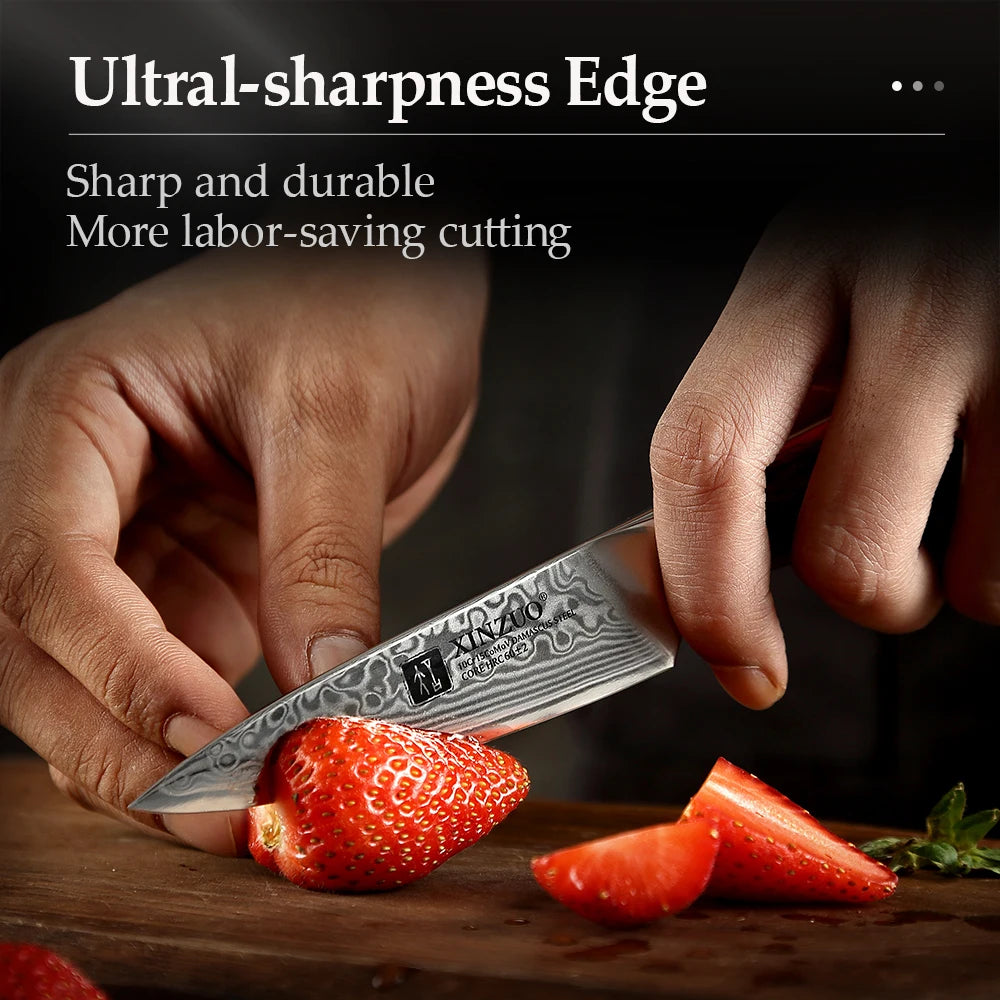 XINZUO 3.5" Damascus Steel Paring Knife – Rosewood Handle Damascus Paring Knife Axl