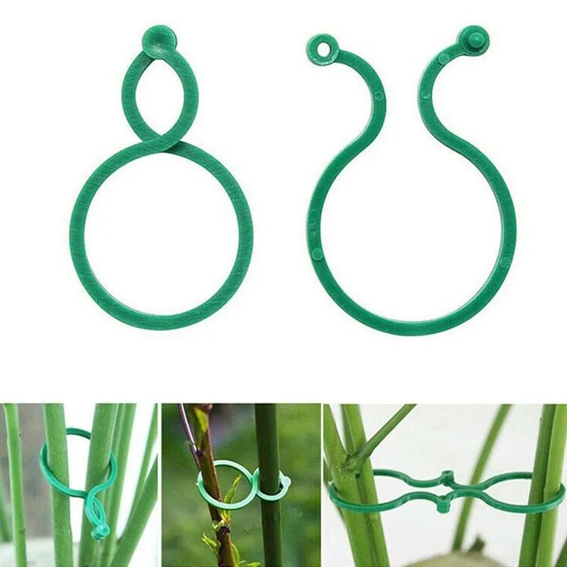 Garden Plant Support Clips for Tomato & Vine – 50/100 Pack Plant Support Clips Axl