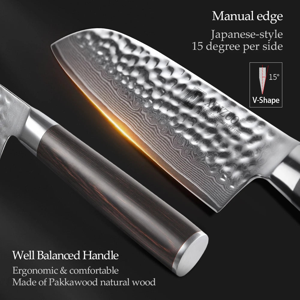 XINZUO 5-Piece Damascus Steel Kitchen Knife Set | Pakkawood Kitchen Knife Set Axl