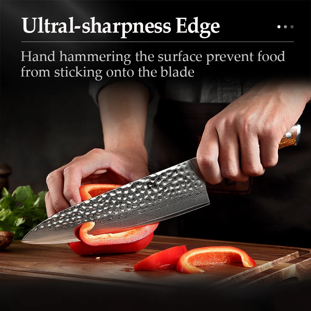 XINZUO 8.2" Damascus Steel Gyuto Chef Knife – Desert Ironwood Damascus Chef Knife Axl