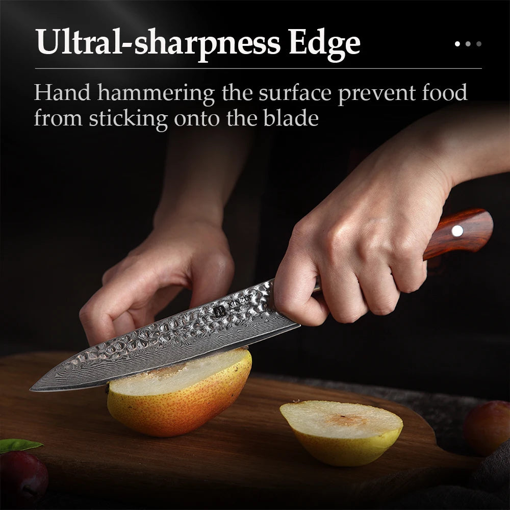 XINZUO 6" VG10 Damascus Steel Utility Knife – Rosewood Handle Damascus Utility Knife Axl