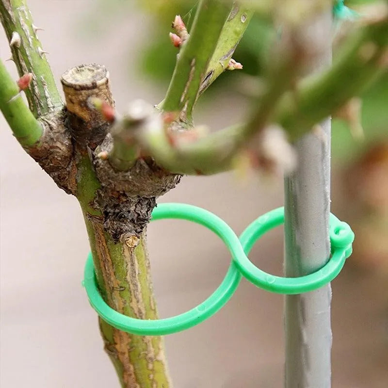 Garden Plant Support Clips for Tomato & Vine – 50/100 Pack Plant Support Clips Axl