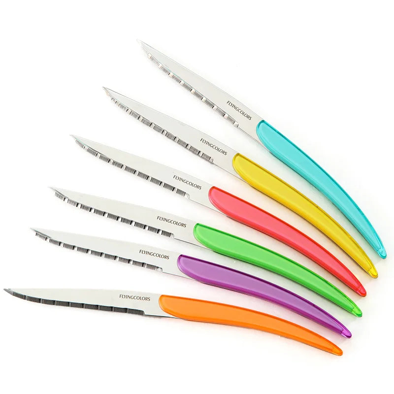 6-Piece Rainbow Steak Knife Set – Stainless Steel Gift Box Steak Knife Set Axl