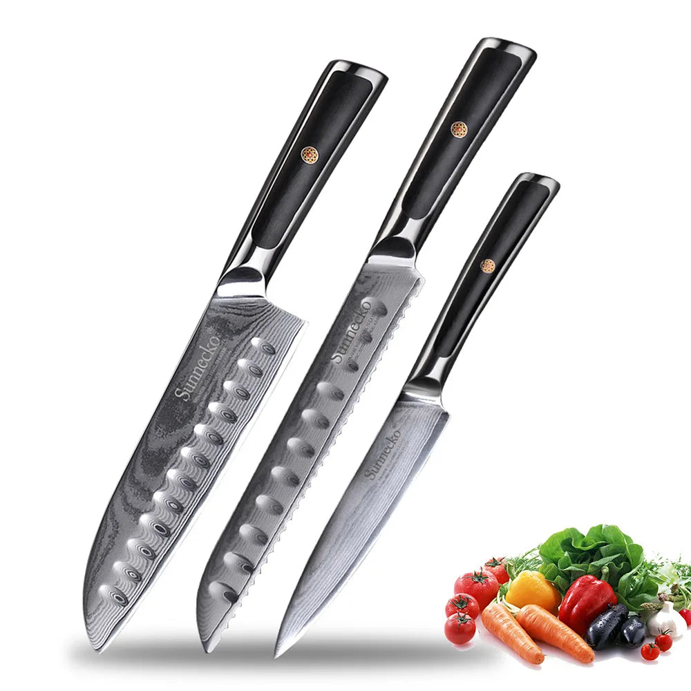 Sunnecko Damascus Steel Chef Knife Set – 73-Layer VG10 1–8pc Damascus Knife Set Axl 3PCS Knife Set B China Mainland