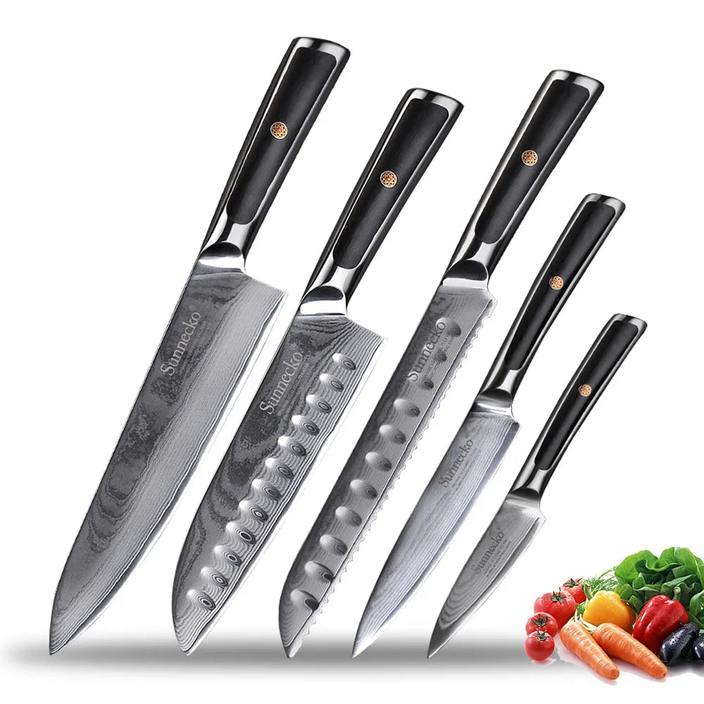 Sunnecko Damascus Steel Chef Knife Set – 73-Layer VG10 1–8pc Damascus Knife Set Axl 5PCS Knife Set B China Mainland