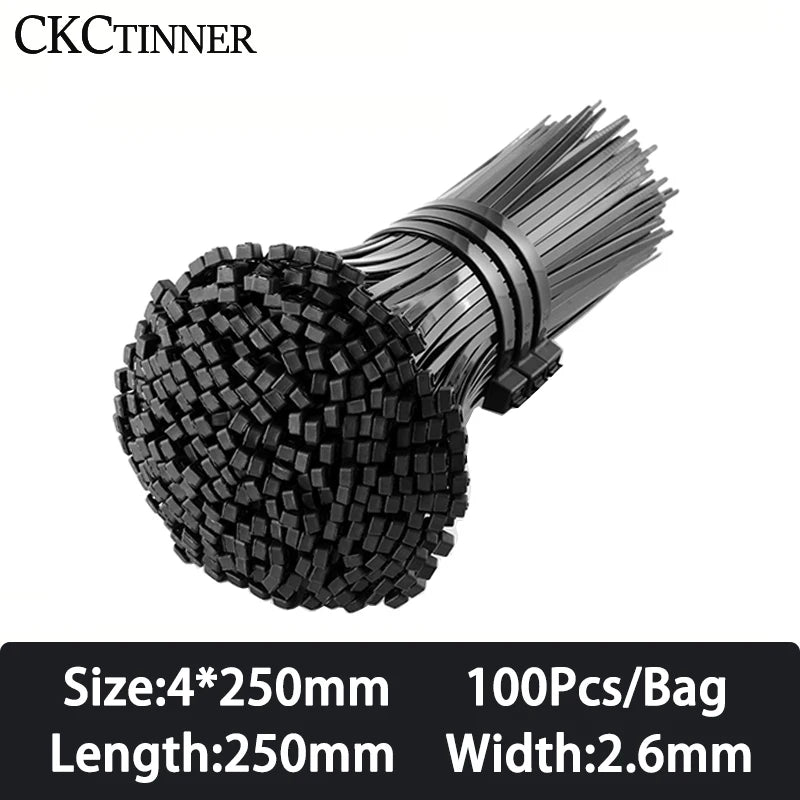100PCS Nylon Cable Ties Self-Locking Black Zip Tie Organiser Nylon Cable Ties Axl 4x250mm