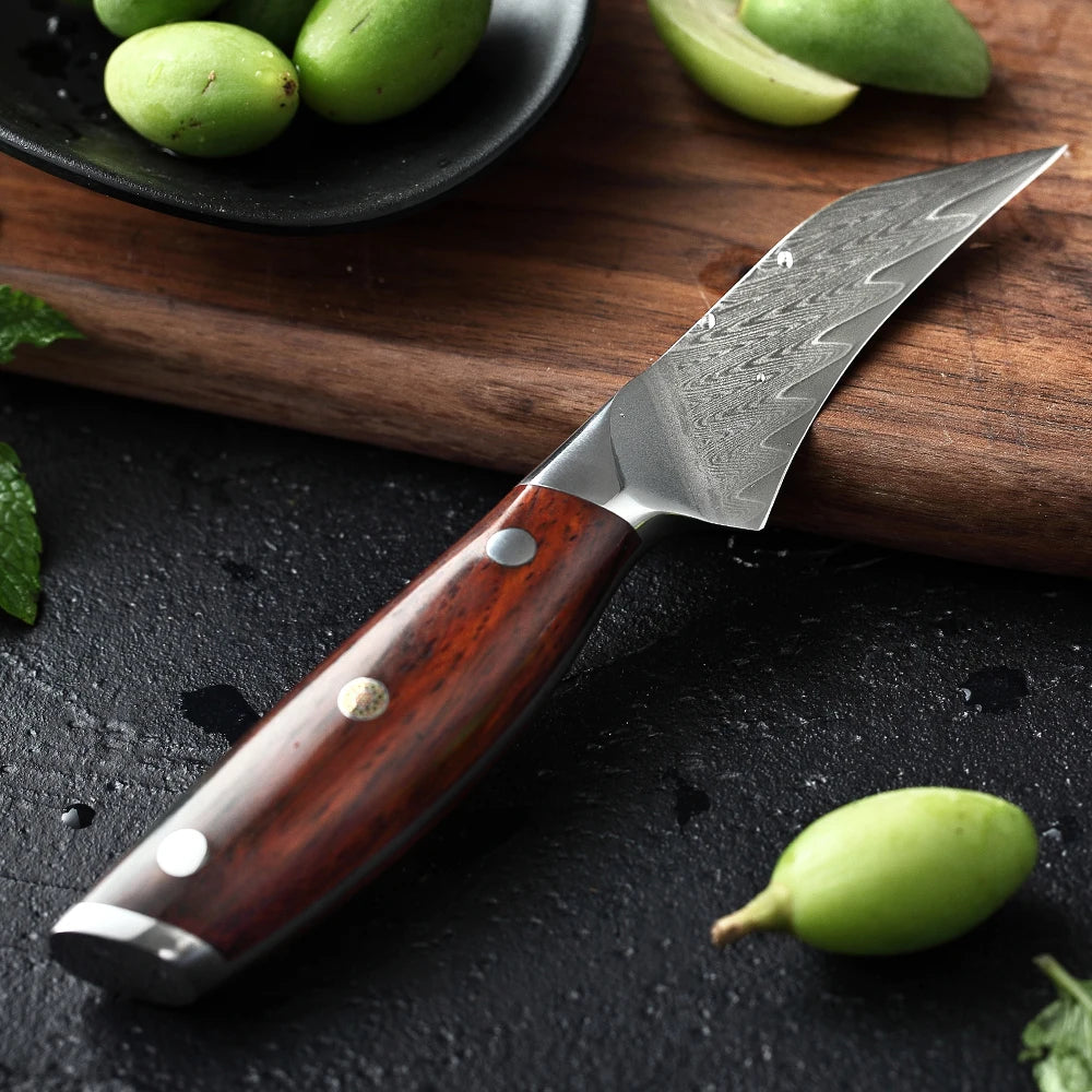 XINZUO 3" Damascus Steel Paring Knife – VG10 Core & Rosewood Damascus Paring Knife Axl