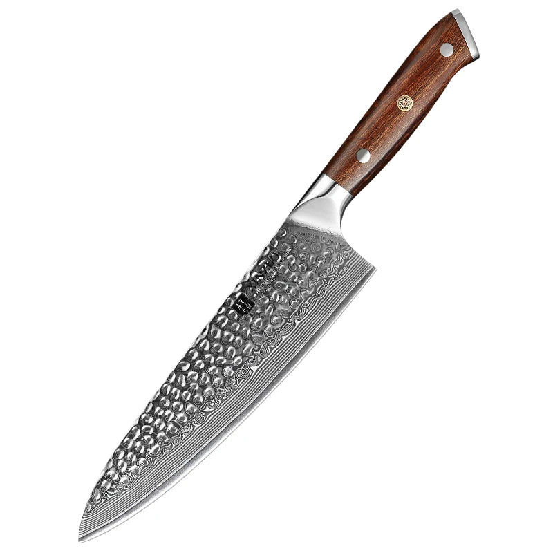 XINZUO 8.2" Damascus Steel Gyuto Chef Knife – Desert Ironwood Damascus Chef Knife Axl Knife China Mainland