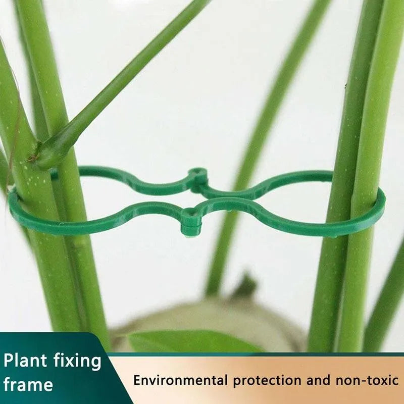 Garden Plant Support Clips for Tomato & Vine – 50/100 Pack Plant Support Clips Axl