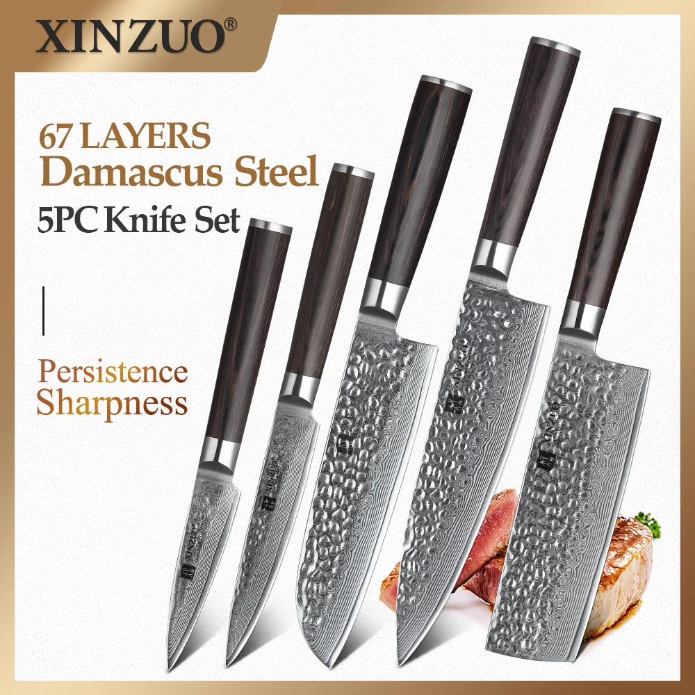 XINZUO 5-Piece Damascus Steel Kitchen Knife Set | Pakkawood Kitchen Knife Set Axl