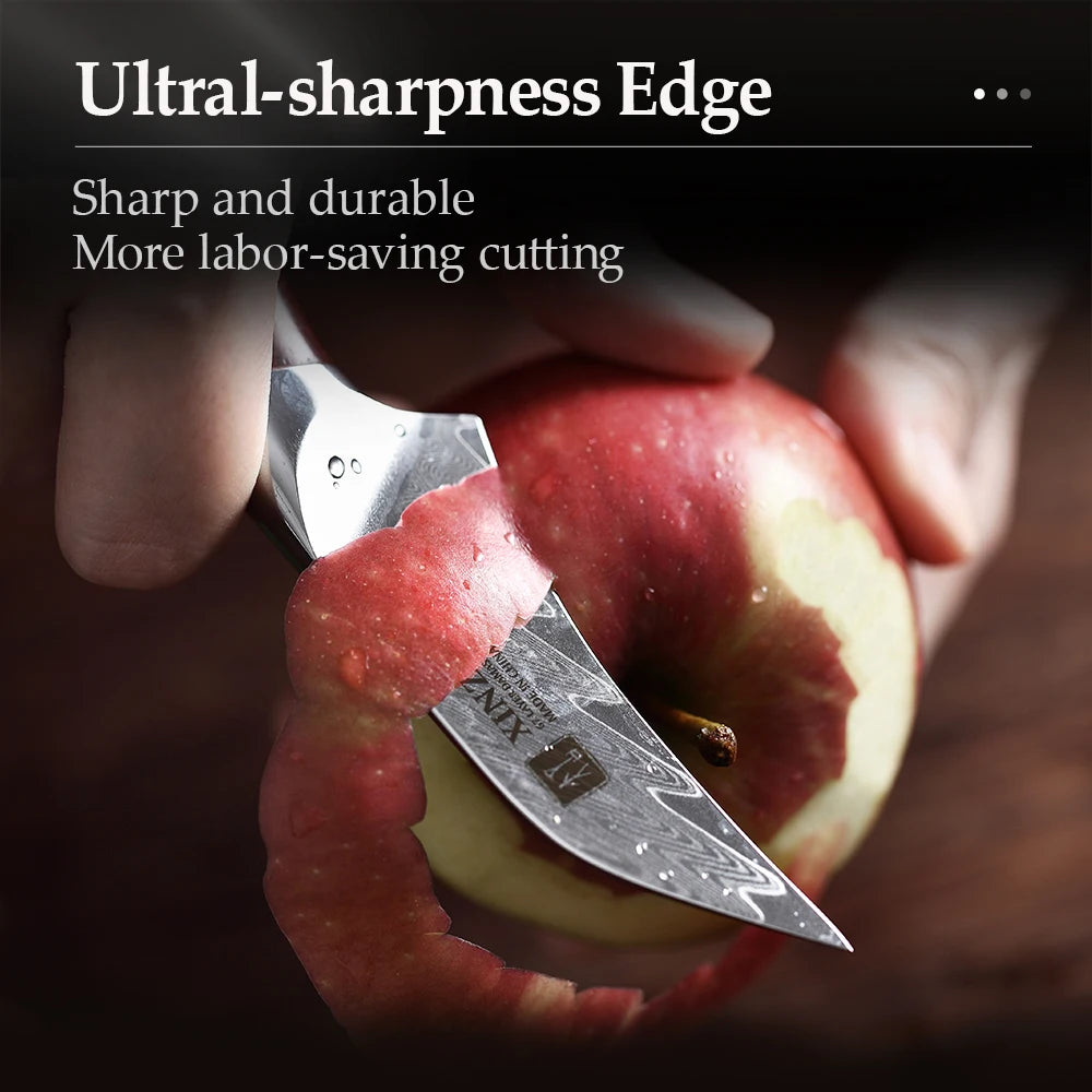 XINZUO 3" Damascus Steel Paring Knife – VG10 Core & Rosewood Damascus Paring Knife Axl