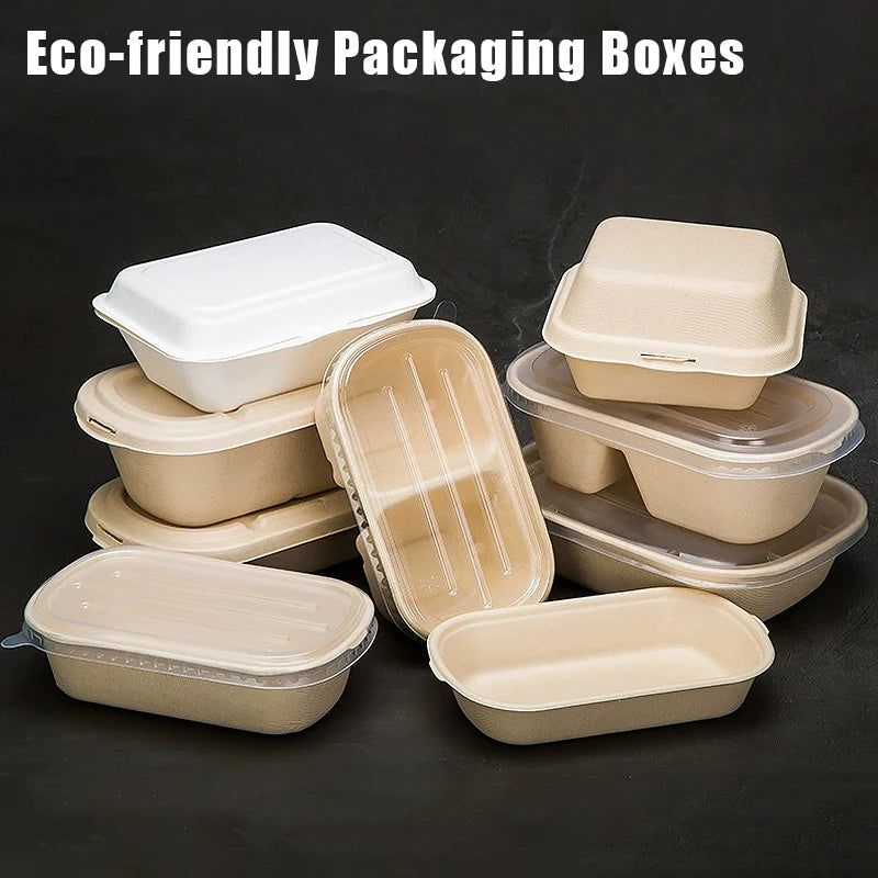 Biodegradable Sugarcane Lunch Boxes | 10/50 Pack, 4 Sizes Disposable Food Containers Axl