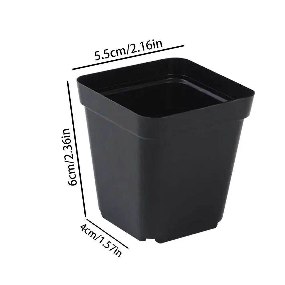 50-Pack Black Seedling Starter Pots with Drainage Holes Seedling Nursery Pots Axl 5.5cm