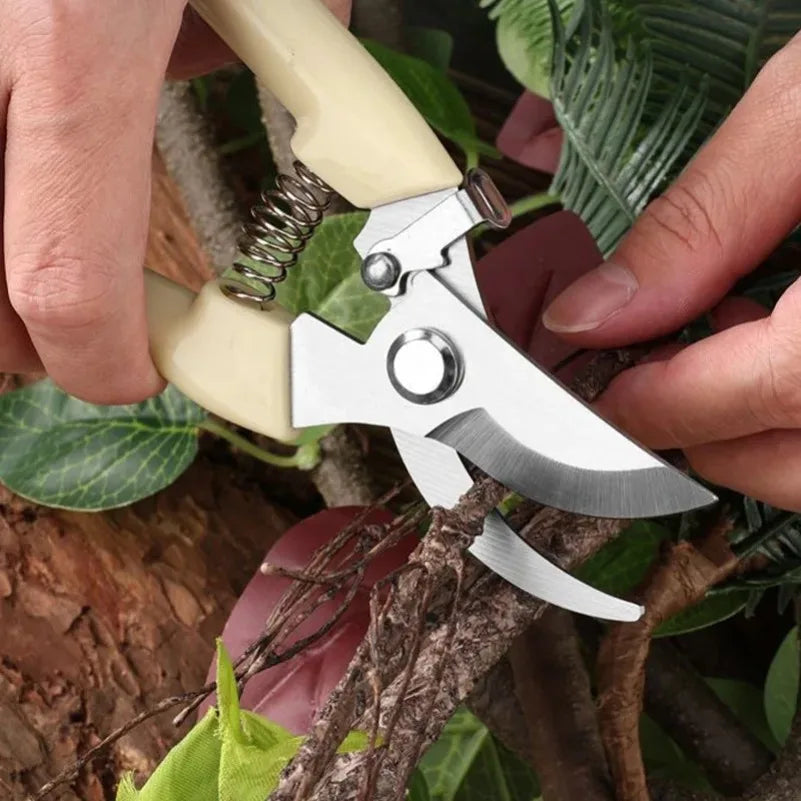 Stainless Steel Pruning Scissors – Flower, Garden & Grafting Pruning Scissors Axl