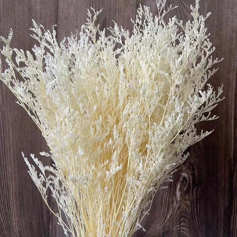 70g Dried Limonium Bouquet – Rustic Wedding & Home Décor Gift Dried Flower Bouquet Axl