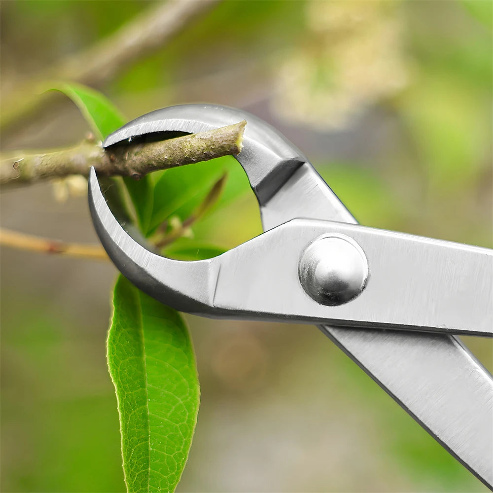Stainless Steel Ball Shears – Bonsai & Topiary Pruning Tool Topiary Pruning Shears Axl
