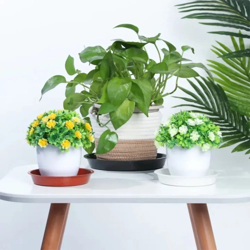 6-Pack Round Plastic Plant Drip Trays 16cm – Indoor Saucers Plant Drip Trays Axl