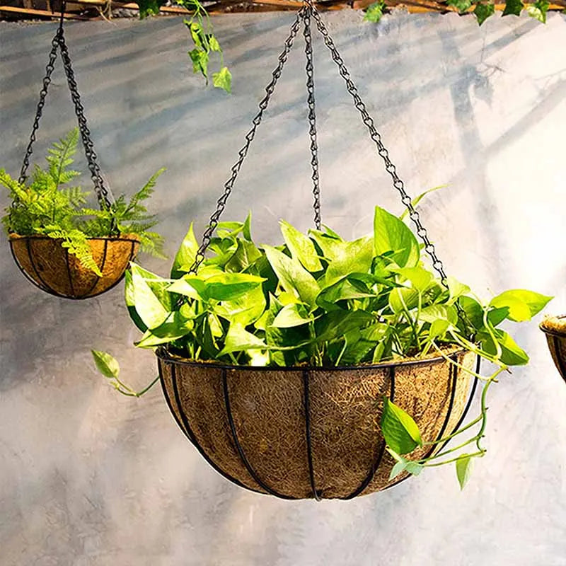 8/10 Inch Metal Hanging Basket with Coconut Liner | Garden Planter Hanging Garden Planter Axl