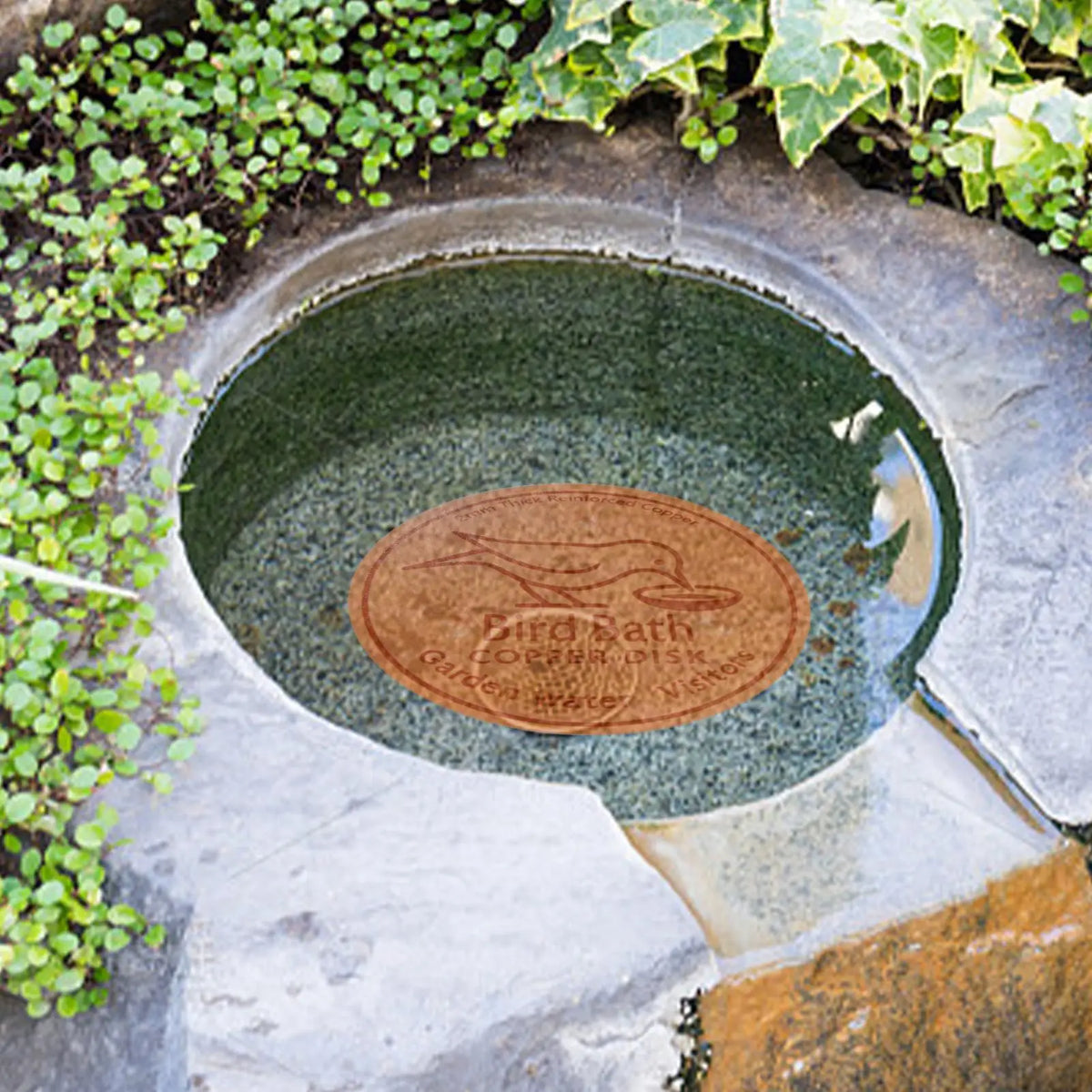 Copper Bird Bath Purifier Disk – Triple-Point Support Cleaner Bird Bath Accessory Axl