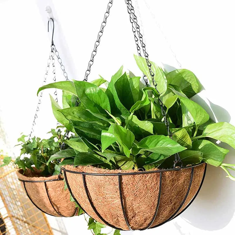 8/10 Inch Metal Hanging Basket with Coconut Liner | Garden Planter Hanging Garden Planter Axl