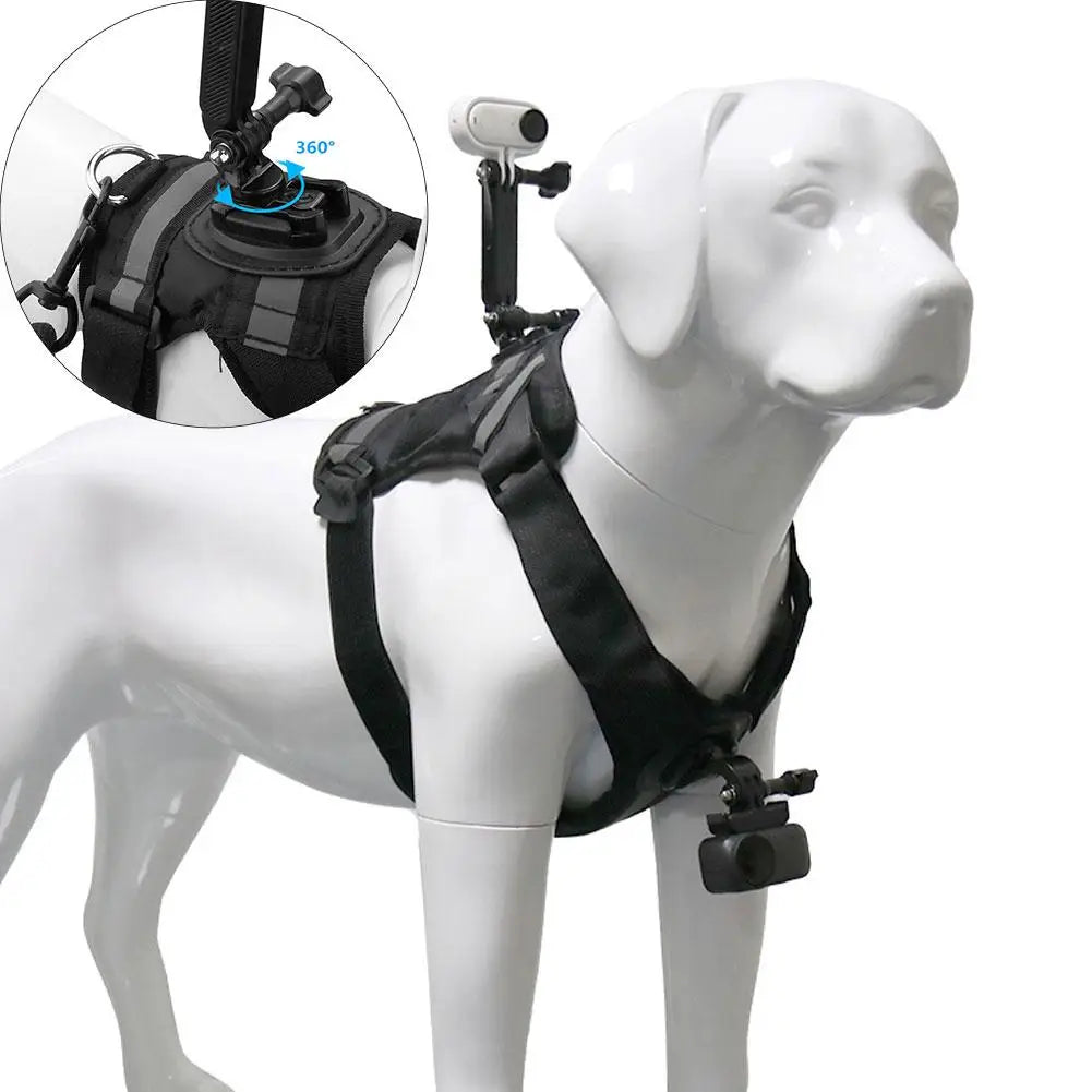Pet Action Camera Harness Mount – GoPro, DJI & Insta360 Pet Camera Harness Axl
