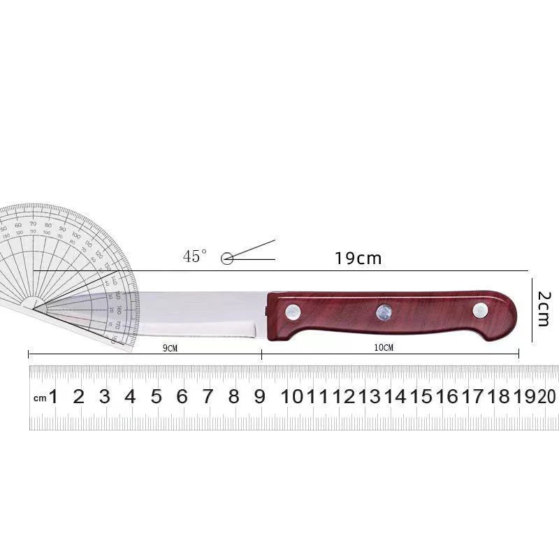 Sharp Stainless Steel Paring Knife – Fruit & Kitchen Knife Paring Knife Axl