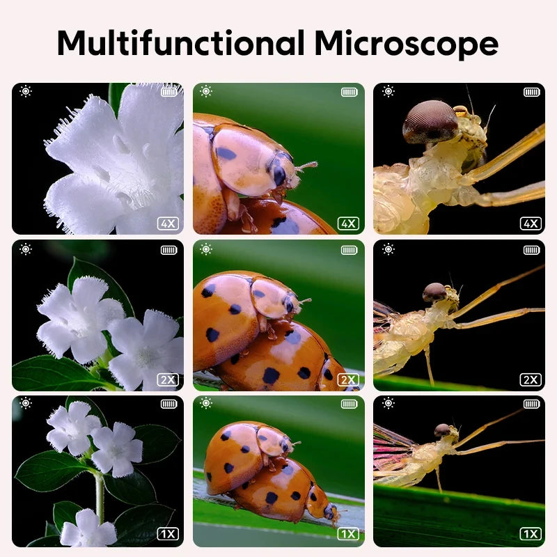 Kids Digital Microscope 1000X Handheld Magnifier with LED Light Kids Digital Microscope Axl