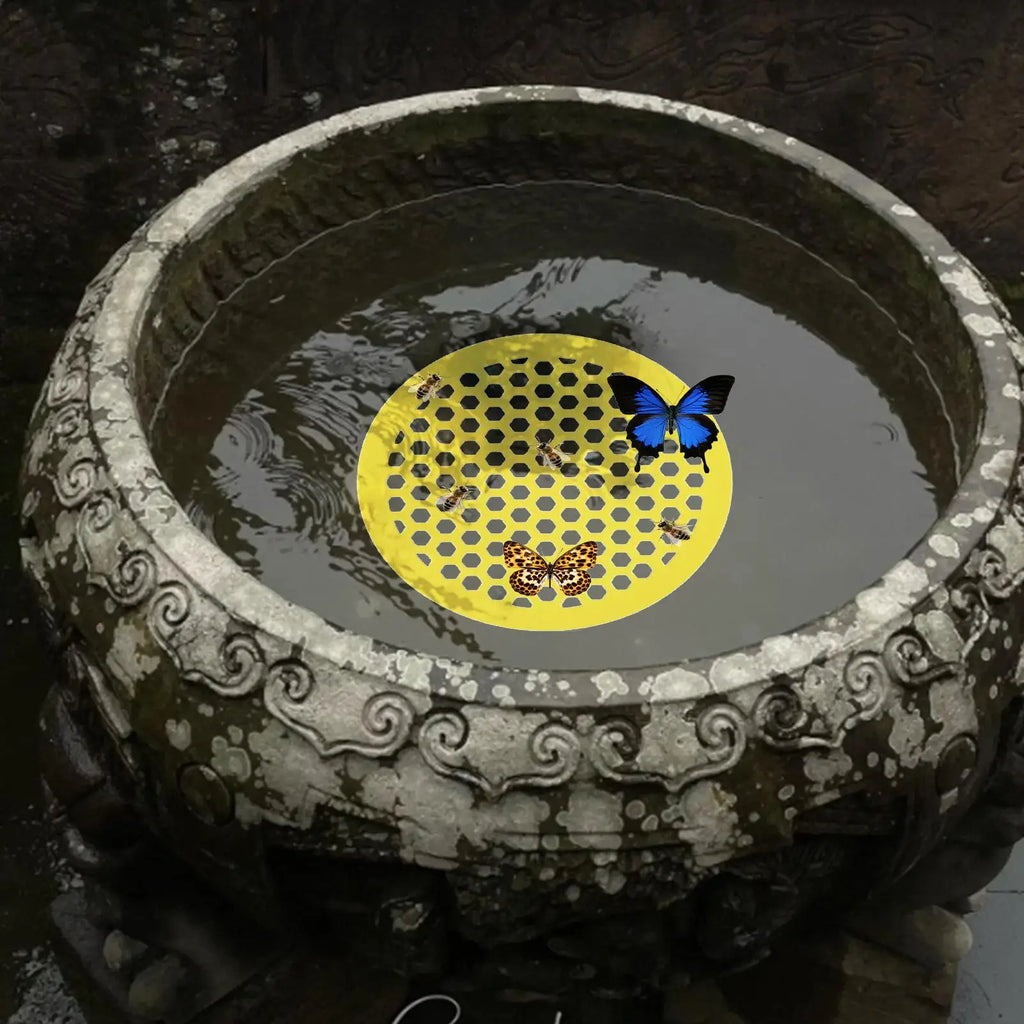 Floating Bee Watering Station – Butterfly & Bee Drink Feeder Bee Watering Station Axl