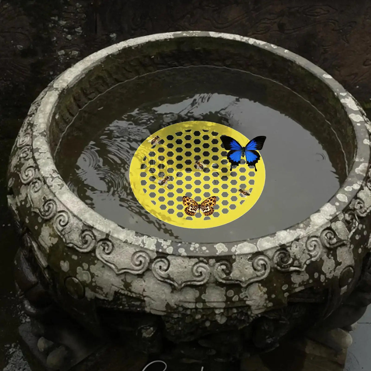 Floating Bee Watering Station – Butterfly & Bee Drink Feeder Bee Watering Station Axl