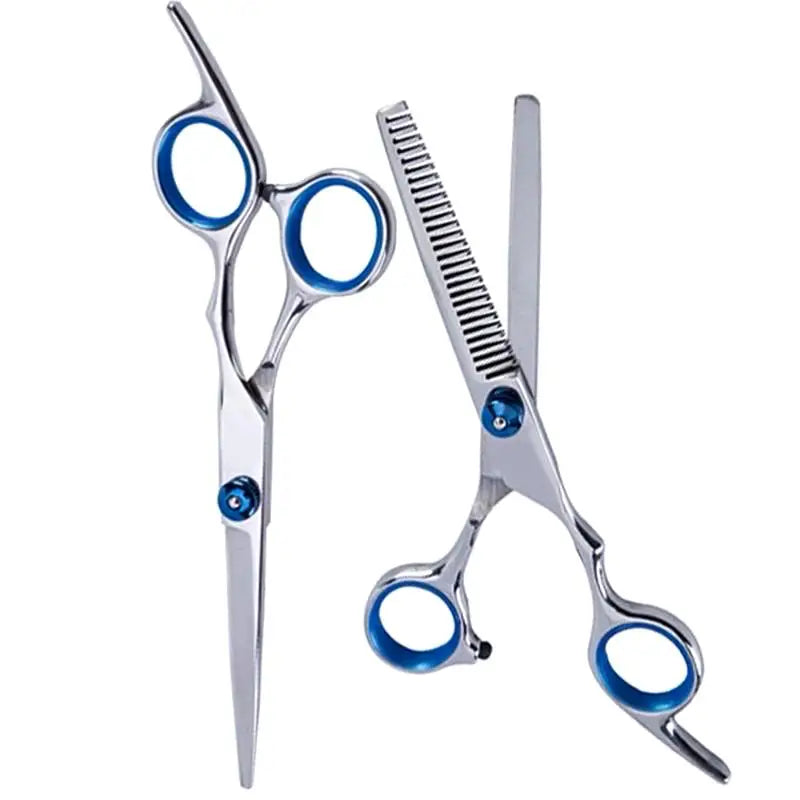 6-Inch Professional Hair Cutting & Thinning Scissors Set Hairdressing Scissors Axl 2PCS