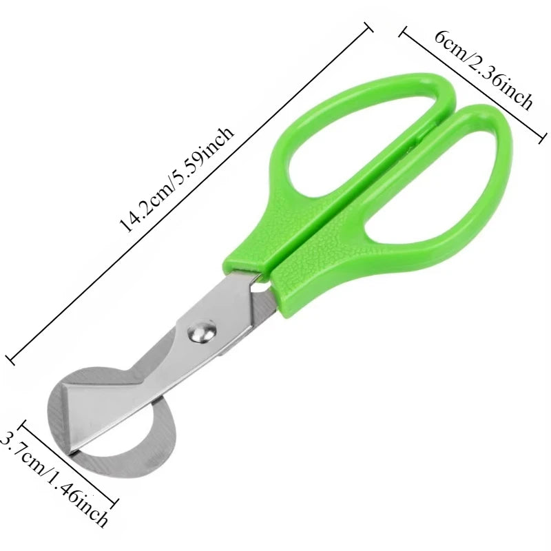 Quail Egg Shell Scissors & Cigar Cutter – Stainless Steel Egg Shell Scissors Axl