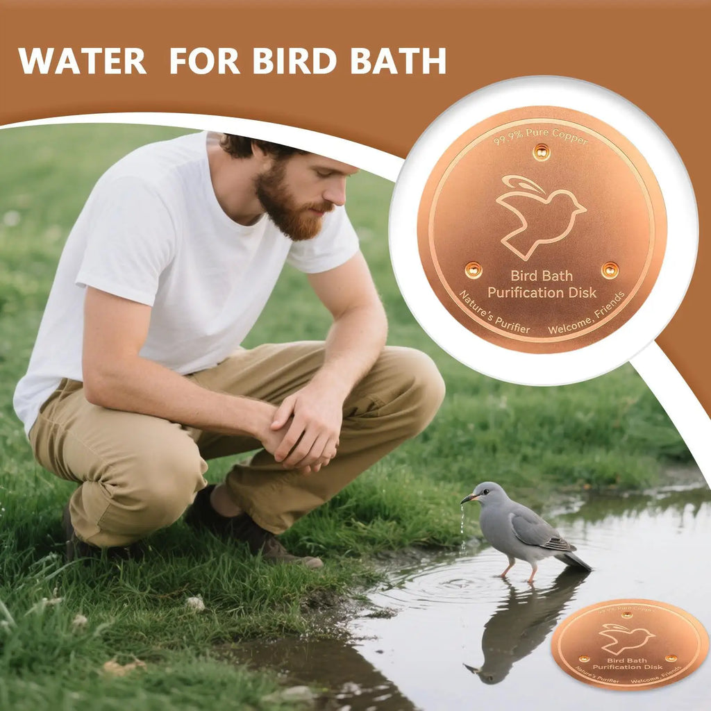 Copper Bird Bath Purification Disk | Triple-Point Support Bird Bath Accessory Axl