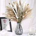 100pc Dried Pampas Grass Bouquet – Boho Home & Wedding Decor Dried Flower Bouquet Axl G