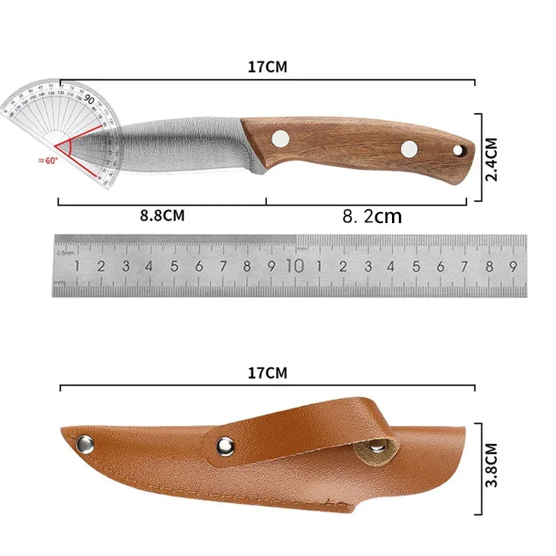 PLYS Stainless Steel Fruit Paring Knife with Holster Paring Knife Axl
