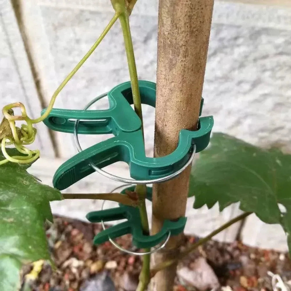 20 Pcs Reusable Plant Clips for Tomatoes, Vines & Flowers Plant Support Clips Axl