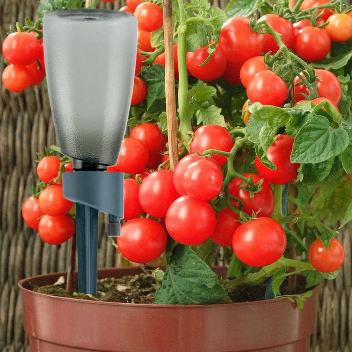 6-Pack Plant Watering Spikes with Control Valve | Garden Stakes Drip Irrigation Stakes Axl