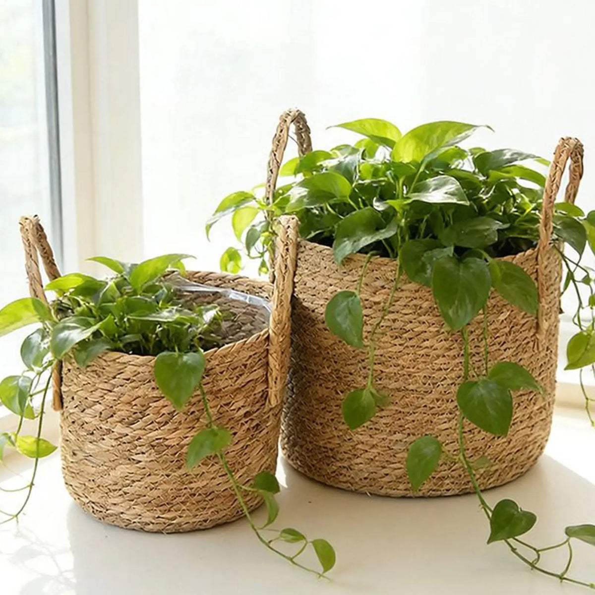 Woven Seagrass Plant Basket with Handle | Indoor & Outdoor Woven Plant Basket Axl