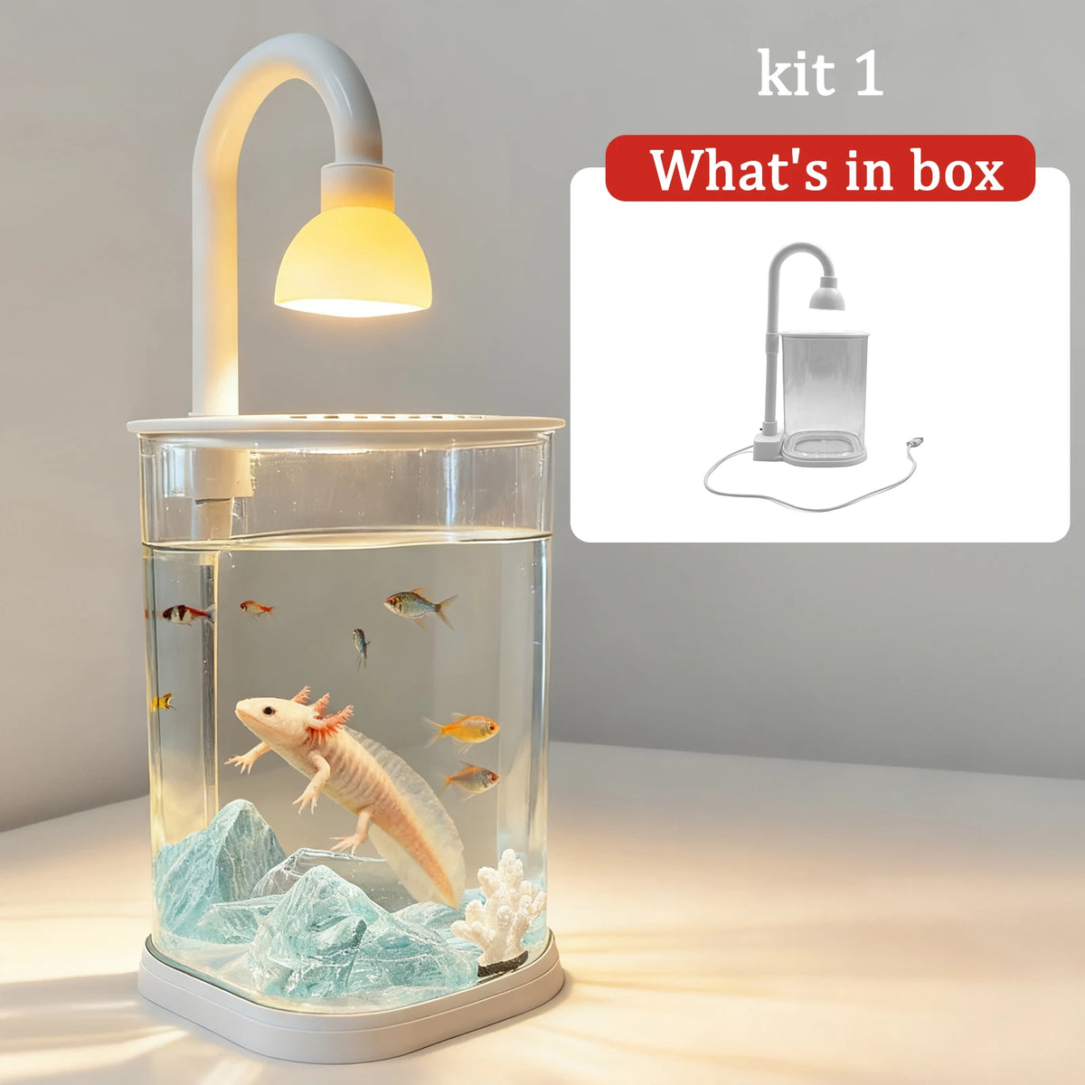 Starter Kit Small Tabletop Fish Tank with Light – Kids Gift Tabletop Fish Tank Axl Kit 1 S