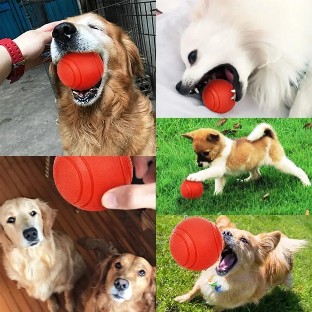 Pet Rubber Chew Ball – Dog Training Bouncy Molar Toy Dog Chew Toy Axl