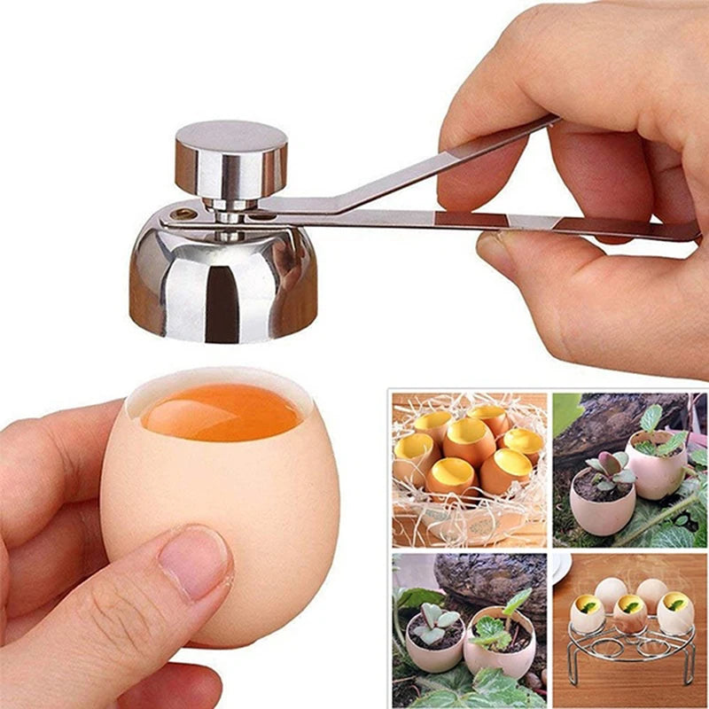 Stainless Steel Egg Shell Cutter & Opener | Kitchen Tool Egg Shell Opener Axl