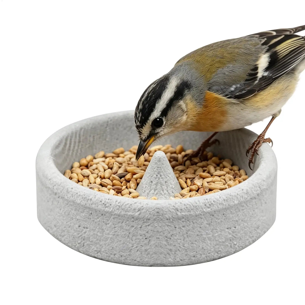 Ceramic Parrot Feeding Bowl – Stone Bird Feeder & Beak Groomer Bird Feeder Bowl Axl