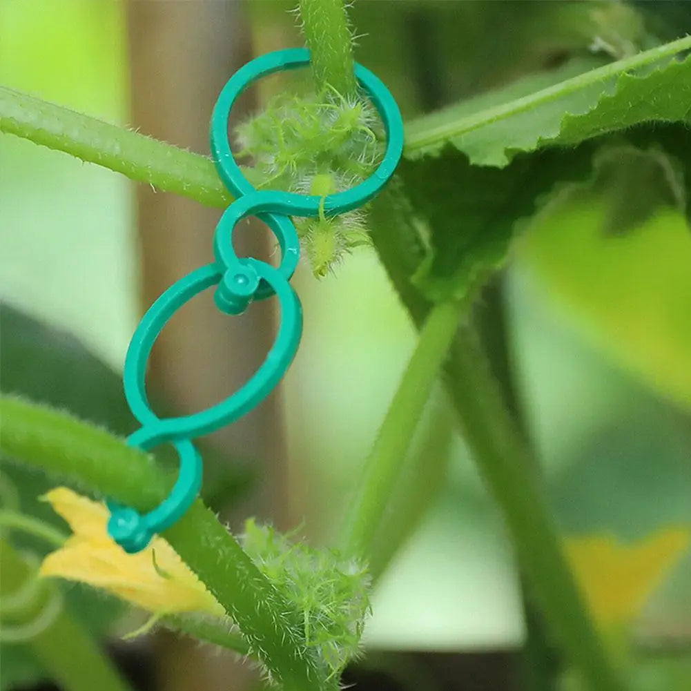 Garden Plant Support Clips for Tomato & Vine – 50/100 Pack Plant Support Clips Axl