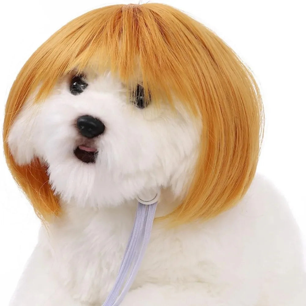 Funny Pet Bob Wig for Cats & Dogs – Halloween Cosplay Pet Costume Wig Axl